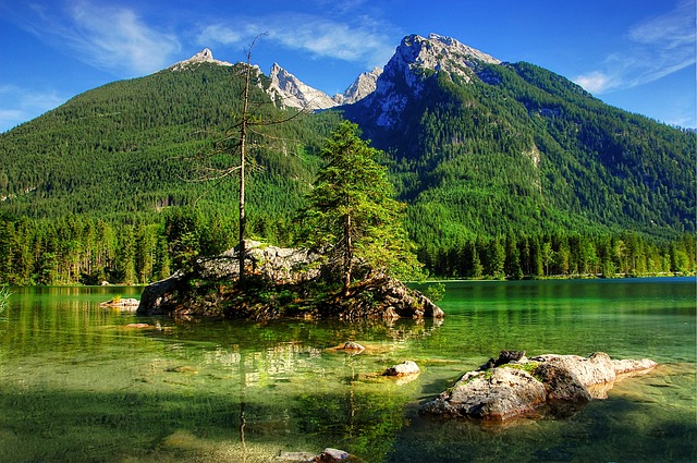 的前景