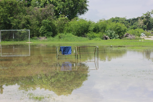 经过巧妙的 经过巧妙的