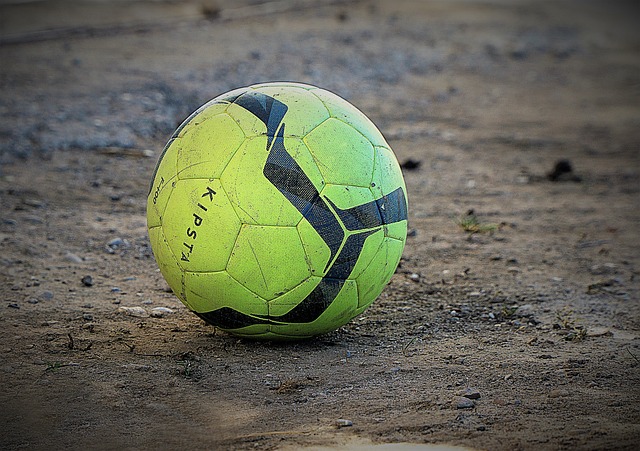 对政府的外 对政府的外