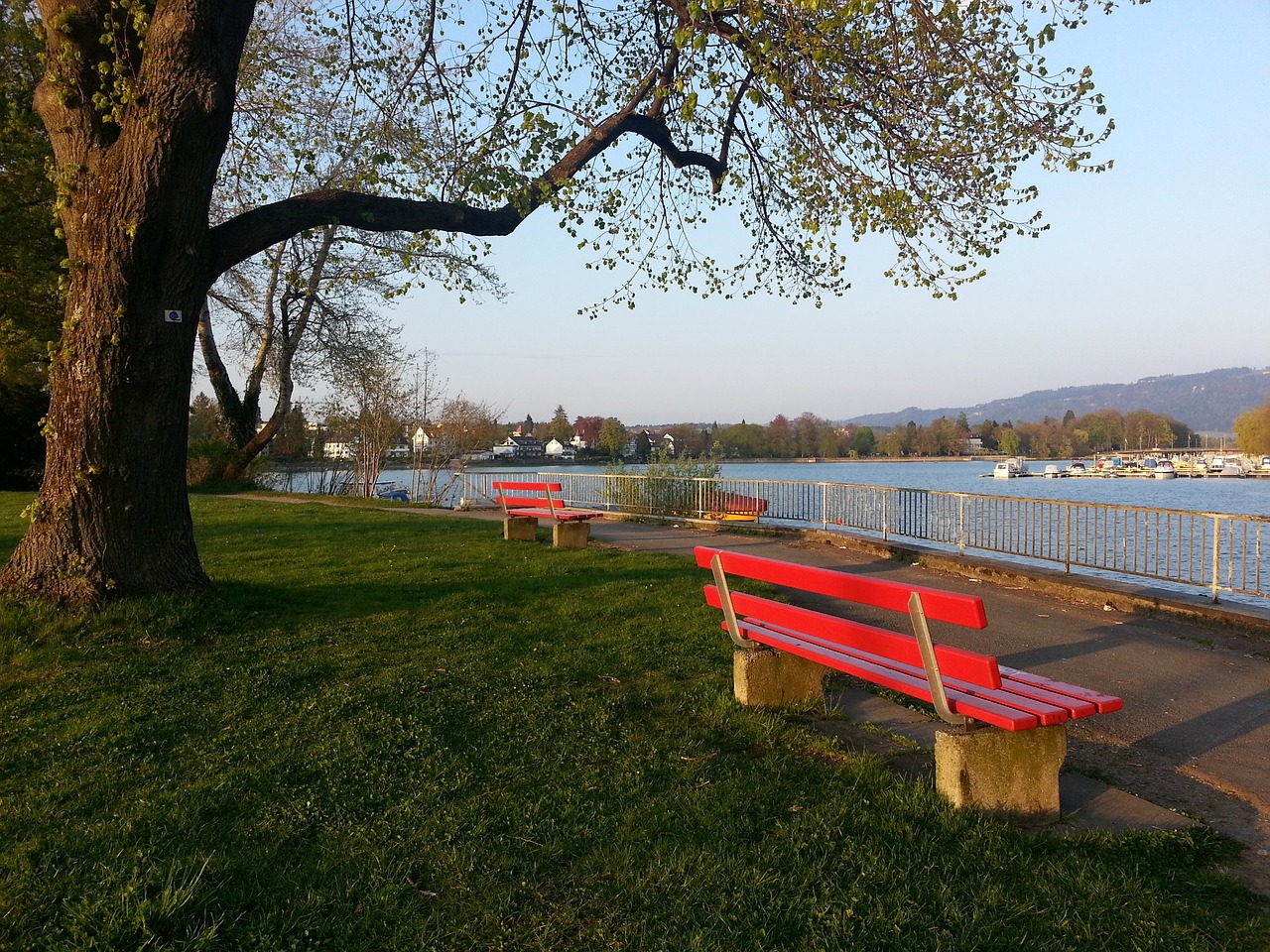 员的出色表 员的出色表