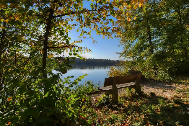 觀察與啟示 觀察與啟示