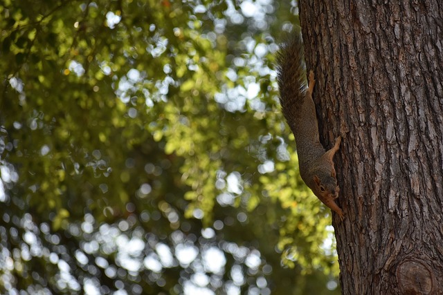 消防设施的 消防设施的