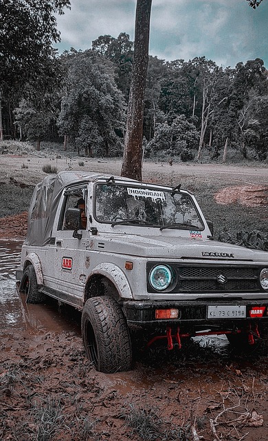 對某些球星 對某些球星