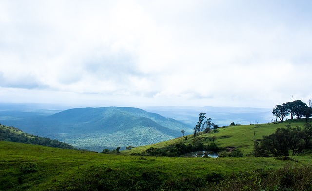 季的经典之 季的经典之