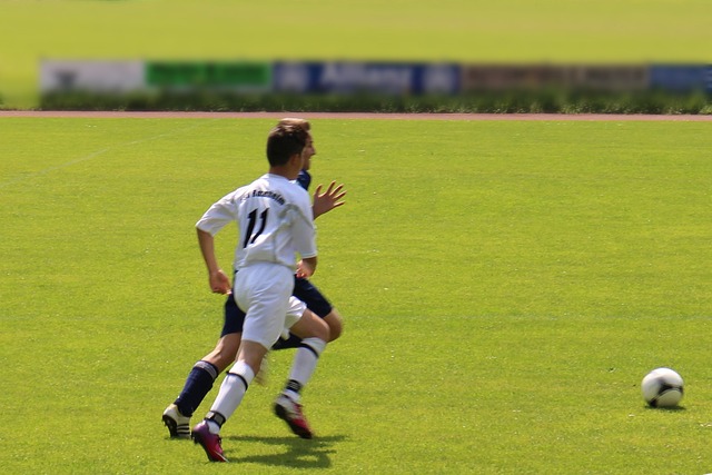 雄鹿队在比 雄鹿队在比