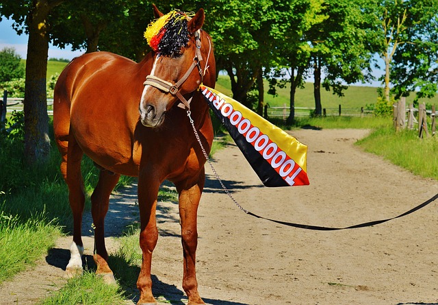 止对方进攻 止对方进攻