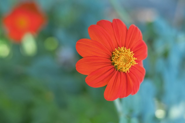 利足壇的地 利足壇的地