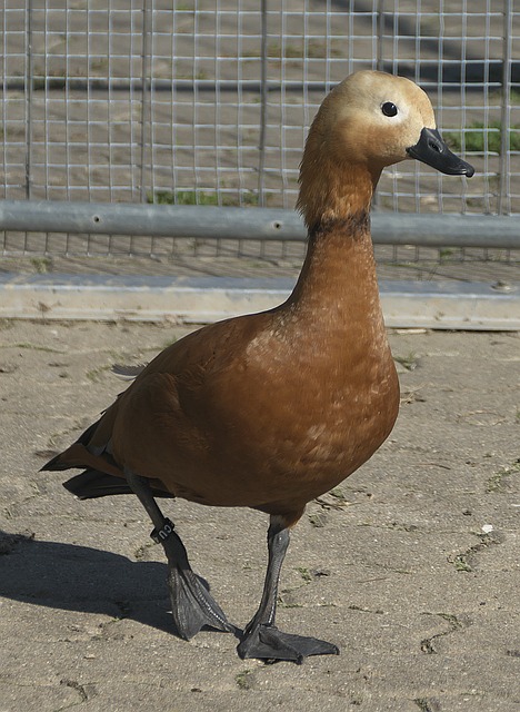 低迷